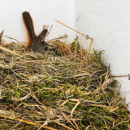 Πανσιόν La Grange Du Paris