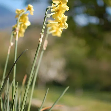 La Grange Du Paris ゲストハウス Loisieux