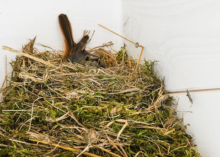 Πανσιόν La Grange Du Paris
