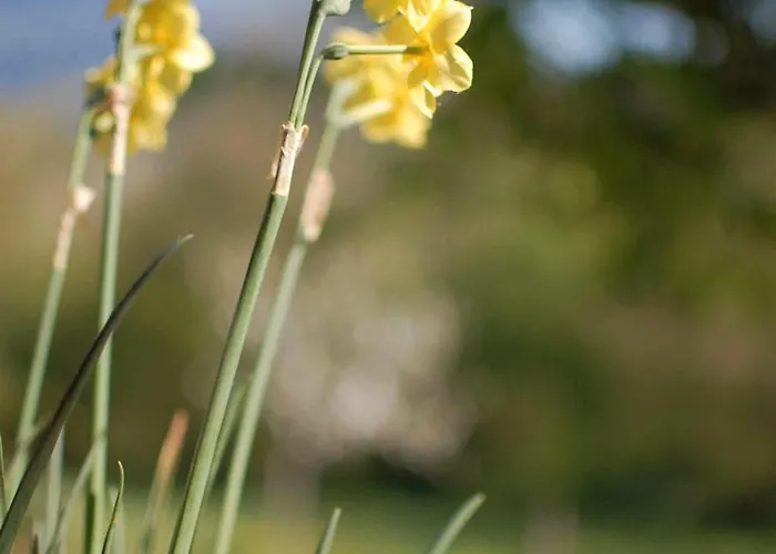 La Grange Du Paris Πανσιόν Loisieux